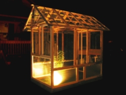 Trish's Greenhouse